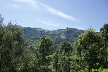 Landscape mountain with blue sky