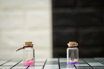 Small shells in a small glass bottle
