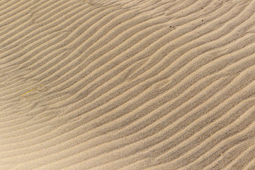 Windspuren im Sand am Strand