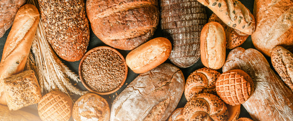 Various kind of bread with wheat top view. White bakery food concept panorama or wide banner photo.