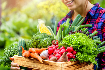 Farmer woman holding wooden box full of fresh raw vegetables. Basket with vegetable (cabbage,...