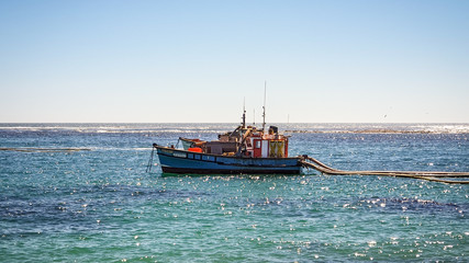 Fototapeta premium Diamond trawler/boat on the ocean