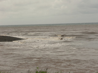 Guadeloupe Plage de sable fin sous les cocotiers dans les Caraïbes ou aux Antilles