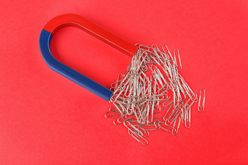 Magnet attracting paper clips on red background, flat lay