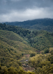 Fototapeta premium view of mountains