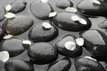 Spa stones with flower petals in water. Zen lifestyle