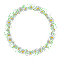 Wreath with daisy flowers on a white background. Vector round frame with place for text.