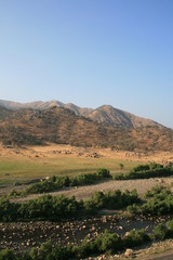 landscape with mountains and blue sky