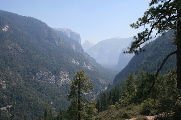 Fototapeta premium Yosemite Valley in Yosemite National Park California Half Dome El Capitan
