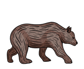hand drawn bear walking colored isolated vector