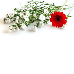 Frame from white flowers on a white background with space for text. Bouquet of wild flowers. Green floral background. Top view. Copy space. Mock-up