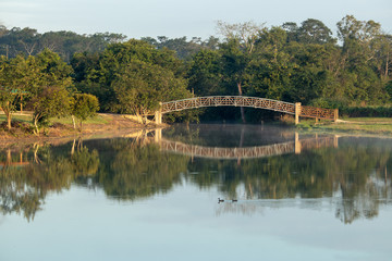 Obraz premium bridge over the river