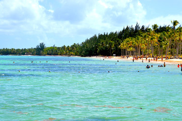 Caribbean beach landscape