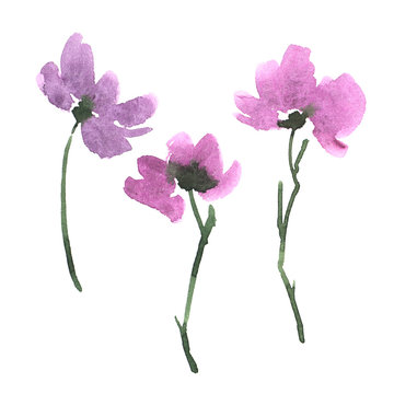 Set Of Purple Watercolor Flowers Isolated On White.