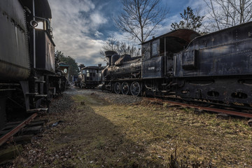 Fototapeta na wymiar alte dampflokomotiven sammelstelle