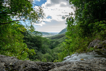Fototapeta na wymiar A hike up Manoa falls