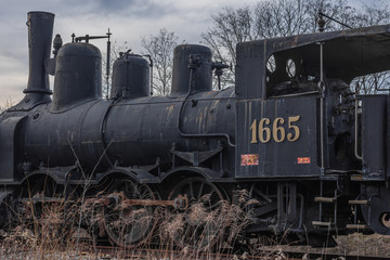 Fototapeta na wymiar dampflokomotive 1665 auf einem gleis