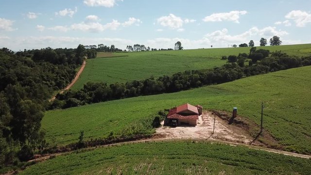 Planta&ccedil;&atilde;o Beatriz