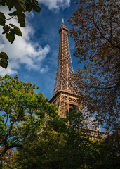 France - Eiffel Tower Through the Trees - Paris