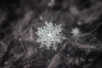 Snowflake Layers