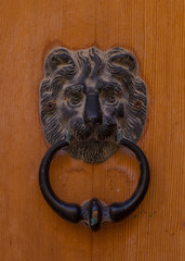 lion knocker on wooden door - 314744365
