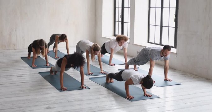 Trainer and group do Upward and Downward Facing Dog Positions