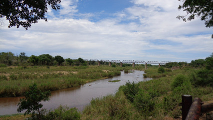 a dirty river in south africa