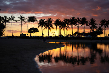 Waikiki Sunset 