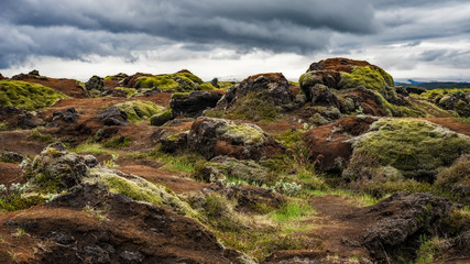 Iceland - Moss Covered Volcanic Area