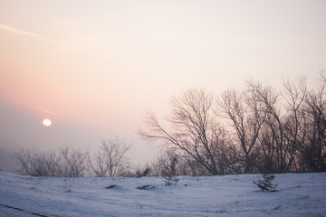 the red sun sets in a gray-pink haze. winter pastel landscape. honey sunset
