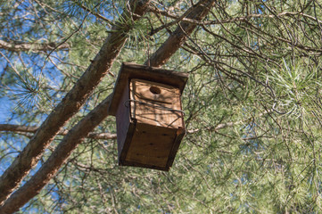 wooden birdhouse hanging on a tree branch