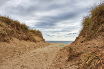 Düne an der Küste Dänemark
