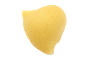 A lot of italian's raw pasta(macaroni) conchiglie on a white background