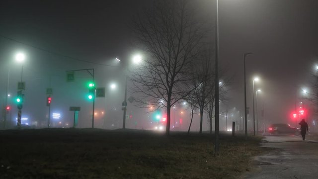 Evening city in the fog. Citizens hurry home, cross the crosswalk. Traffic light regulates.