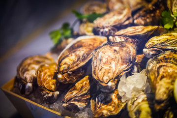 fresh oysters close up view