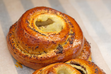 Bun with poppy seeds on a yeast dough. Butter bun with a brown crust and a filling in the middle.