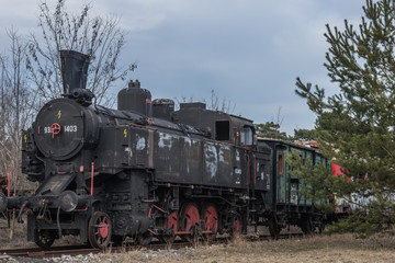 dampflokomotive mit waggon in der natur