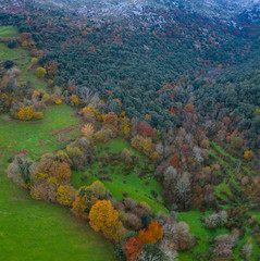 Aerial view, Landscape in autumn, Beech forest, Ramales de la Victoria, Alto Ason, Cantabria, Spain, Europe