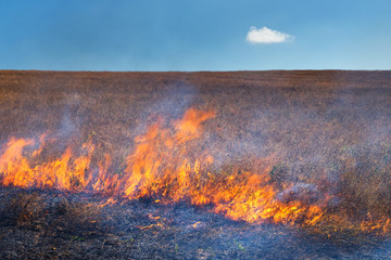 Fire in the steppe