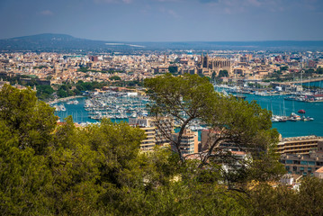 Fototapeta na wymiar Spain - Overlook of the city - Palma de Mallorca