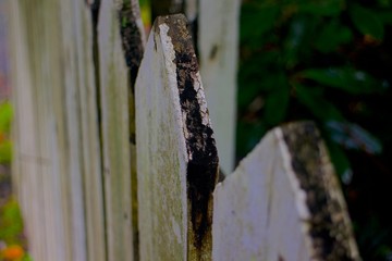 Fence loosing paint
