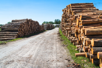 log stack with alder trees; packing blocks on both sides of a gravel road;