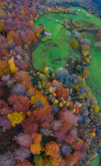 Aerial view, Landscape in autumn, Beech forest, Ramales de la Victoria, Alto Ason, Cantabria, Spain, Europe