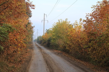 Autumn long road goes into the distance for a turn