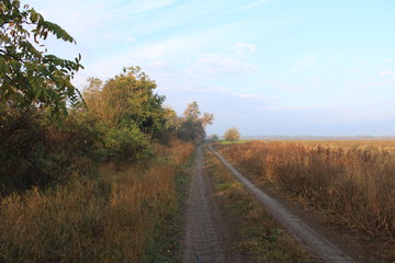 Autumn road goes far beyond the horizon