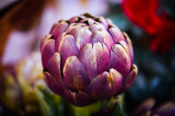 Obraz premium fresh artichoke close up view