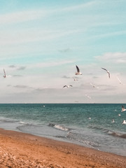 Fototapeta premium Hello! These are photos of the sea and lake in the fall. Here is such a beauty in my city.