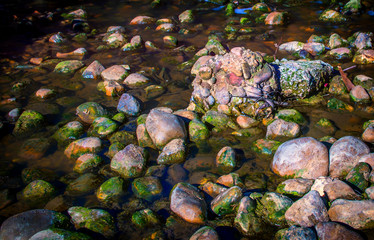 Corriente de agua rodeada de piedras, río con poca agua