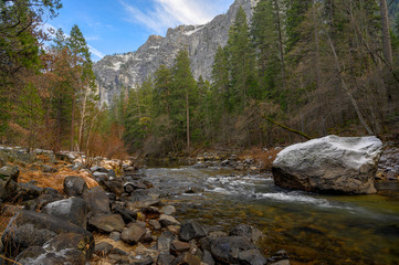 Yosemiti Valley. Winter 2020. River and Pines