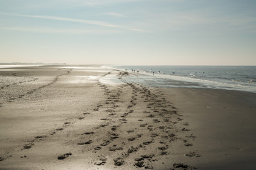 horse footprint on the beach
